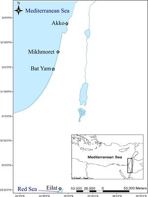 The Potential Use of Invasive Ascidians for Biomonitoring Heavy Metal Pollution